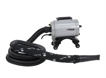 Aeolus CB-901GT Car Dryer Blower