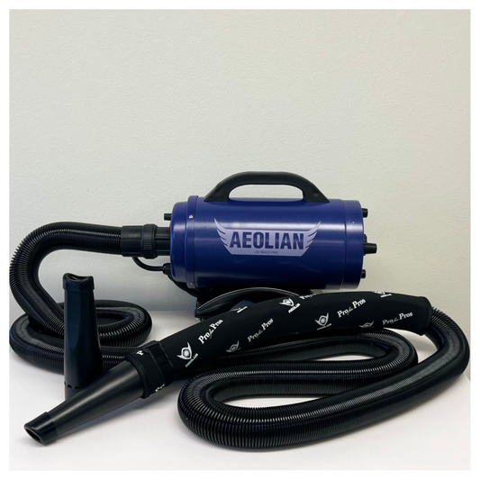 Aeolus CB-901GT PRO Car Dryer Blower